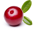 Mirtillo rosso