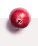 Bioflavonoidi